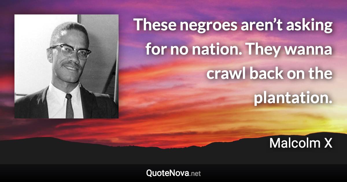 These negroes aren’t asking for no nation. They wanna crawl back on the plantation. - Malcolm X quote