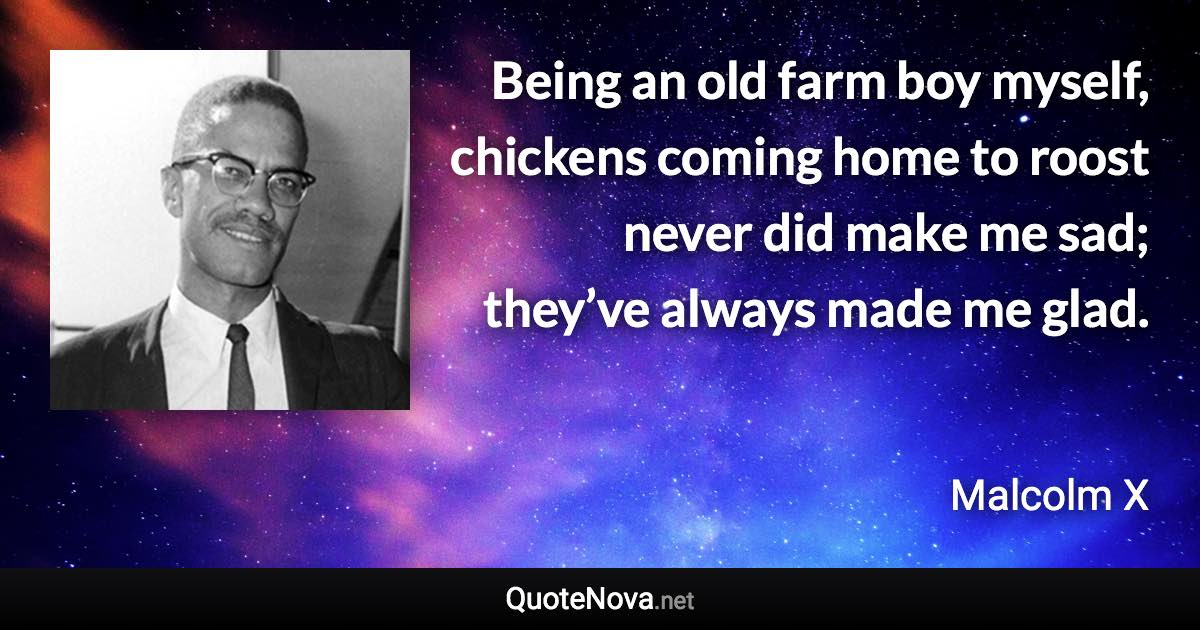 Being an old farm boy myself, chickens coming home to roost never did make me sad; they’ve always made me glad. - Malcolm X quote