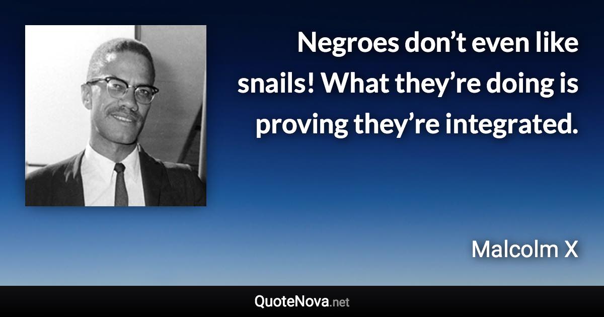 Negroes don’t even like snails! What they’re doing is proving they’re integrated. - Malcolm X quote