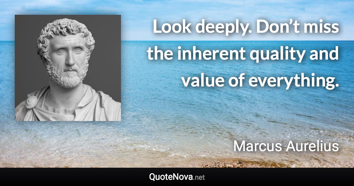 Look deeply. Don’t miss the inherent quality and value of everything. - Marcus Aurelius quote