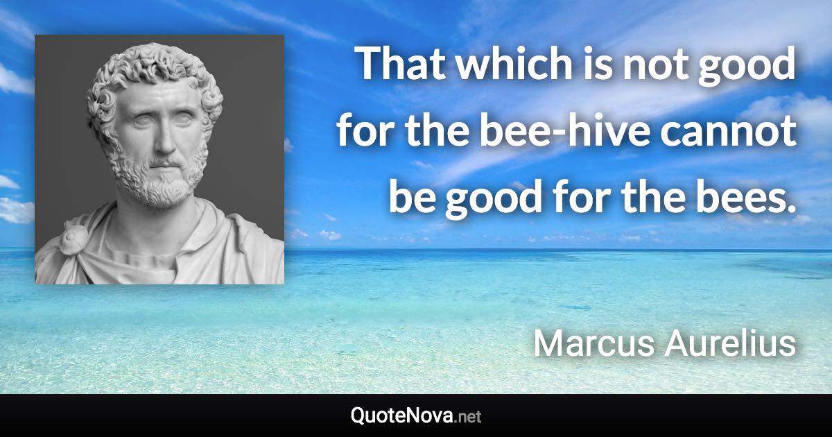 That which is not good for the bee-hive cannot be good for the bees. - Marcus Aurelius quote