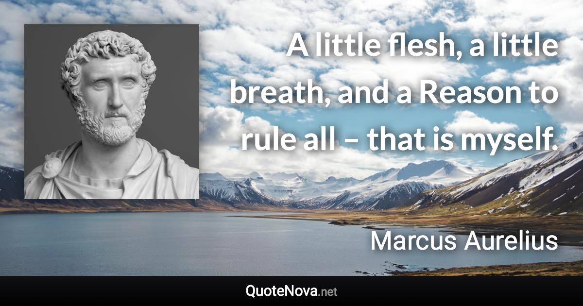 A little flesh, a little breath, and a Reason to rule all – that is myself. - Marcus Aurelius quote