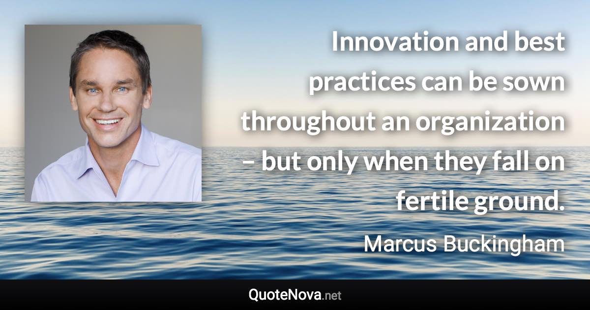 Innovation and best practices can be sown throughout an organization – but only when they fall on fertile ground. - Marcus Buckingham quote