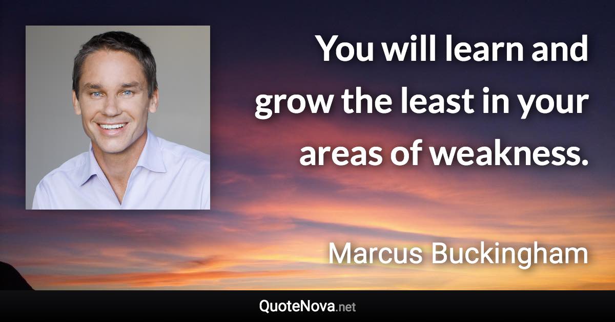 You will learn and grow the least in your areas of weakness. - Marcus Buckingham quote