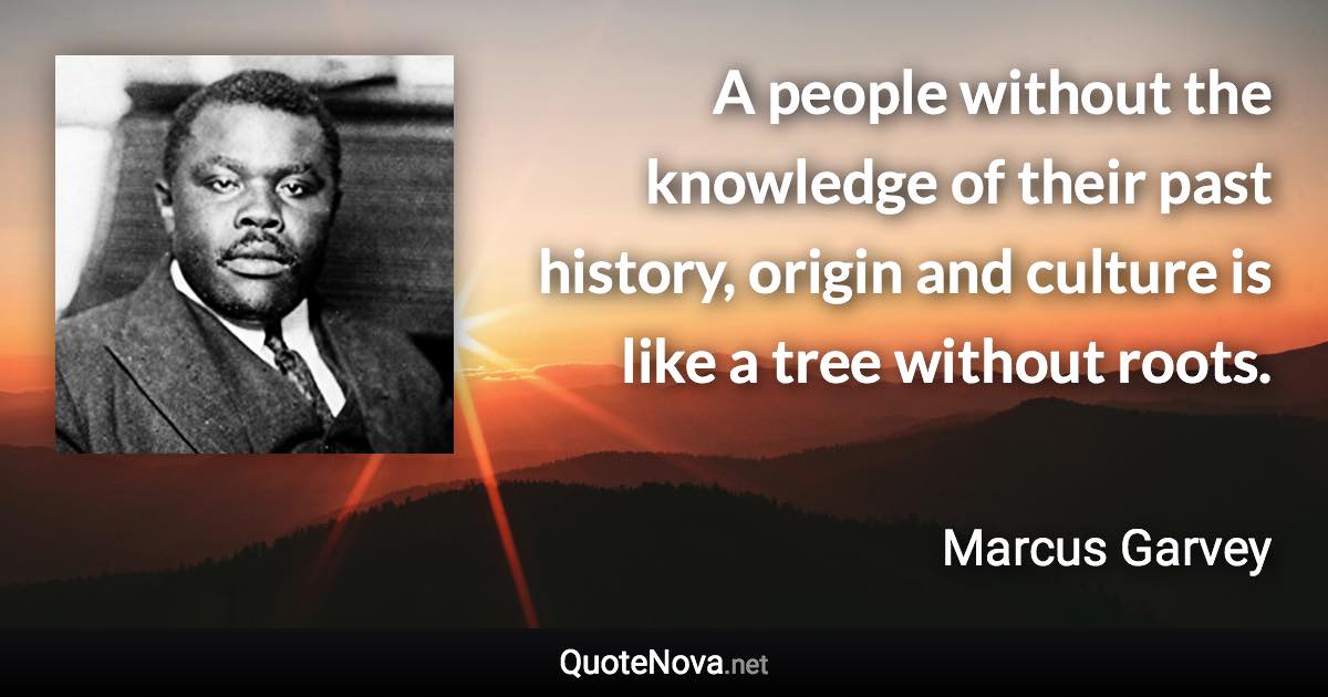 A people without the knowledge of their past history, origin and culture is like a tree without roots. - Marcus Garvey quote
