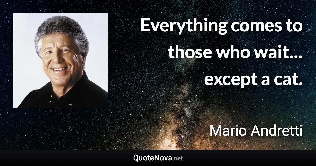 Everything comes to those who wait… except a cat. - Mario Andretti quote