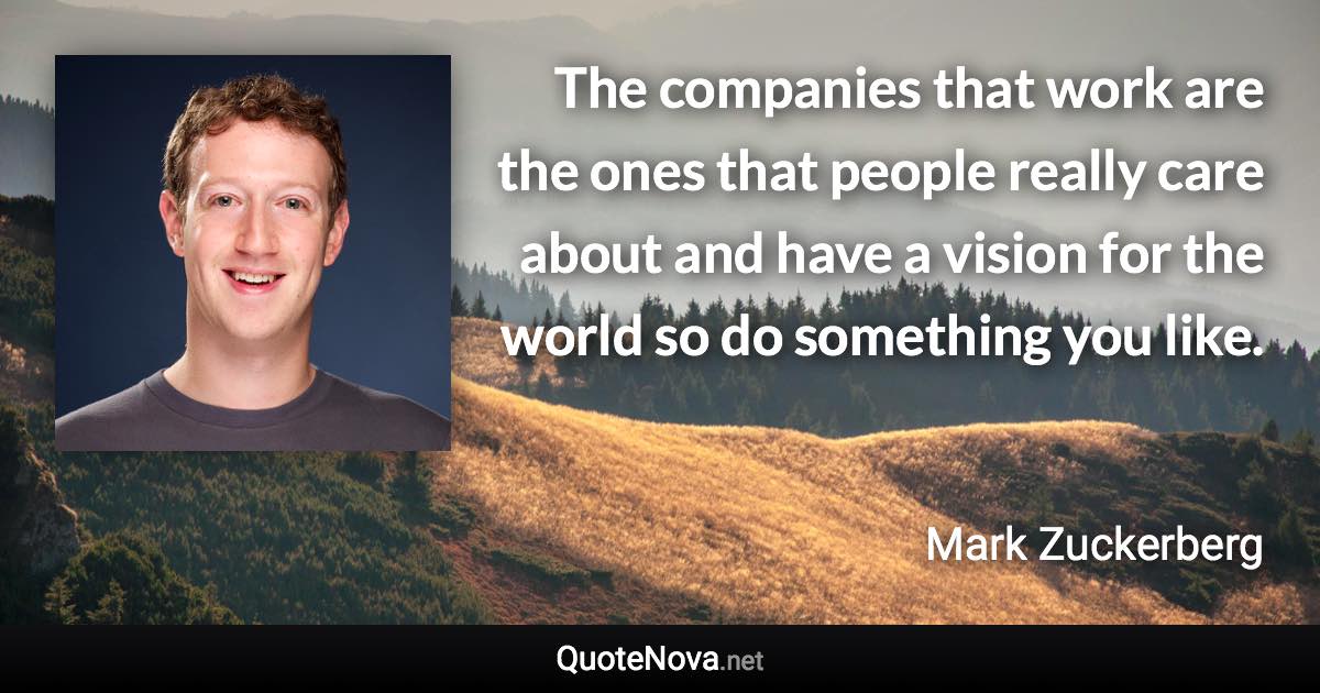 The companies that work are the ones that people really care about and have a vision for the world so do something you like. - Mark Zuckerberg quote