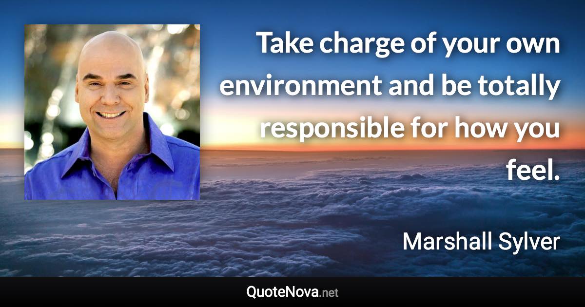 Take charge of your own environment and be totally responsible for how you feel. - Marshall Sylver quote