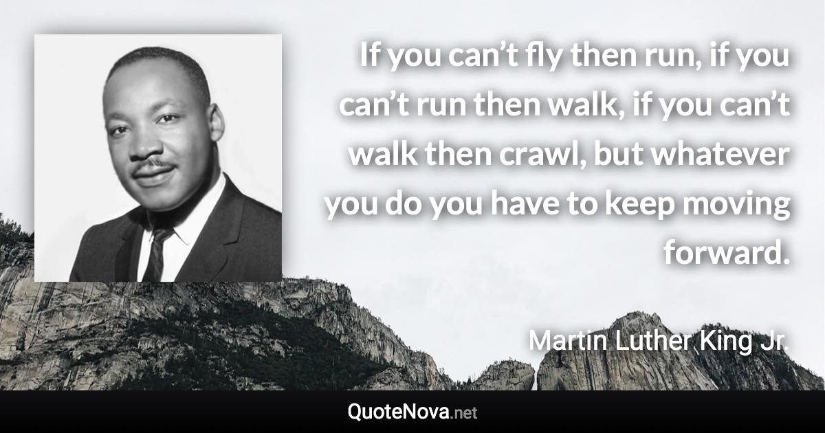 If you can’t fly then run, if you can’t run then walk, if you can’t walk then crawl, but whatever you do you have to keep moving forward. - Martin Luther King Jr. quote
