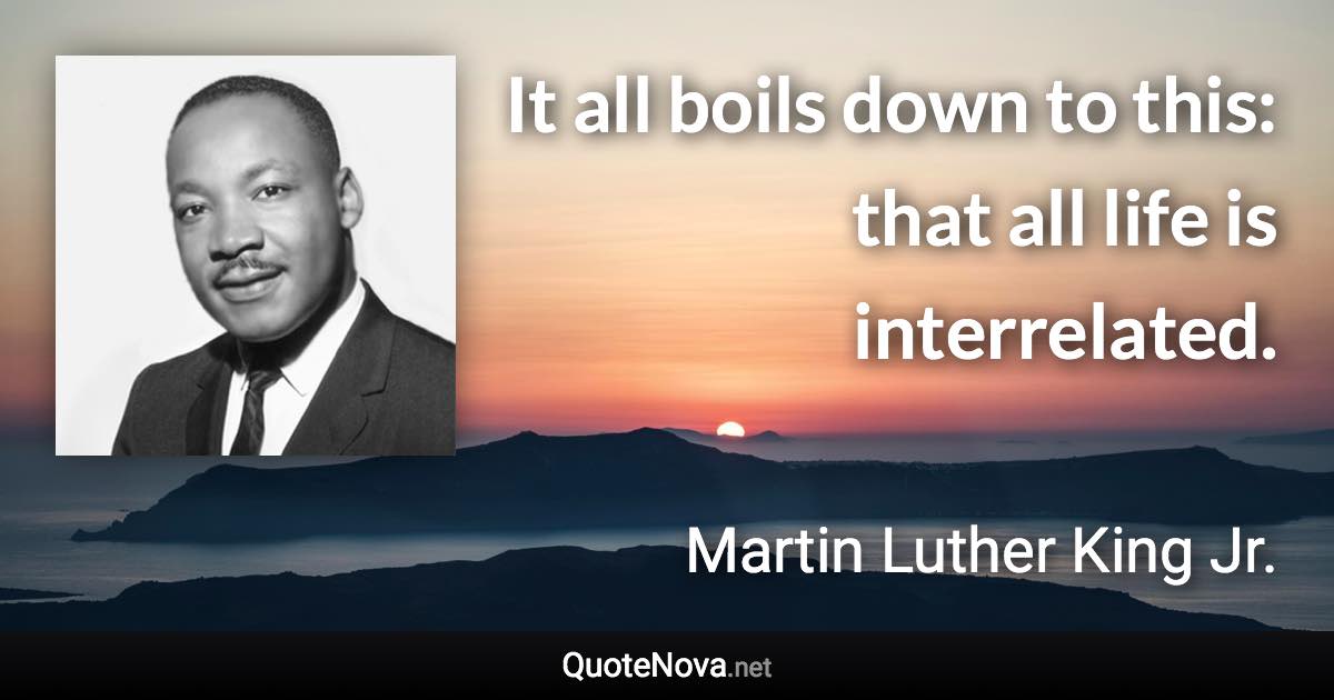 It all boils down to this: that all life is interrelated. - Martin Luther King Jr. quote