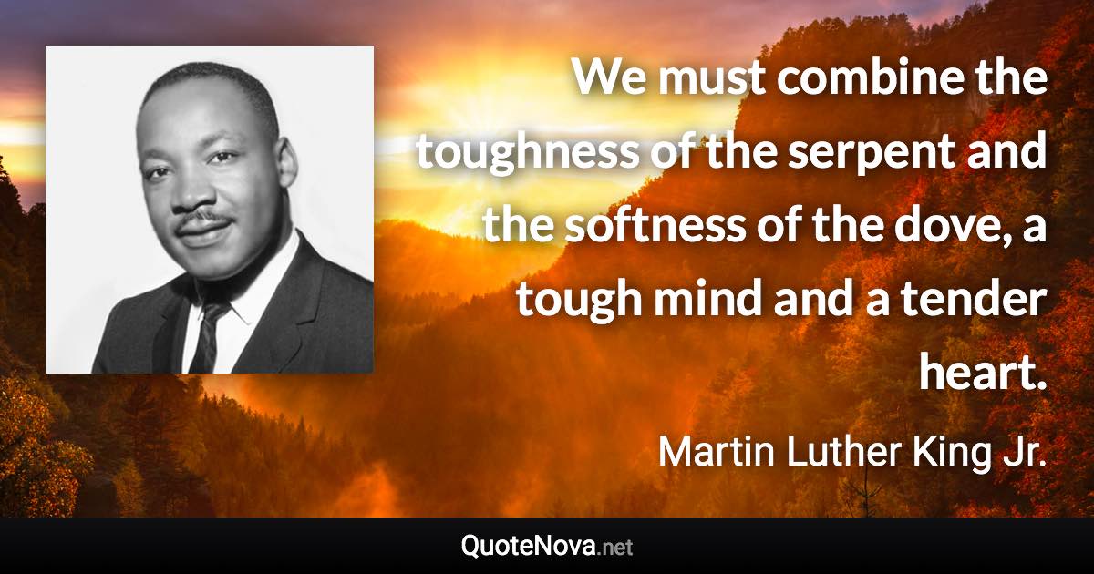 We must combine the toughness of the serpent and the softness of the dove, a tough mind and a tender heart. - Martin Luther King Jr. quote