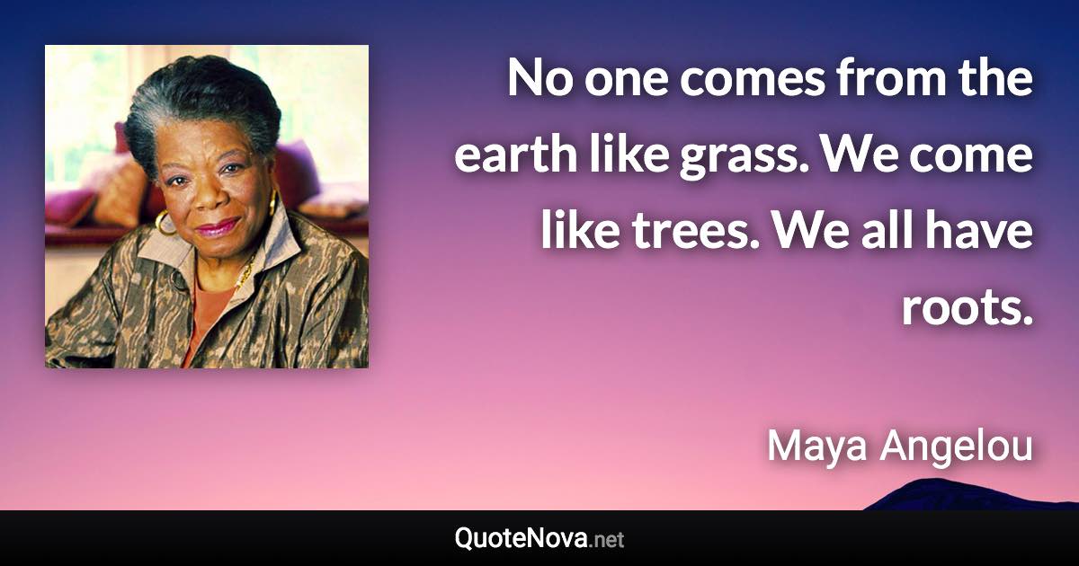 No one comes from the earth like grass. We come like trees. We all have roots. - Maya Angelou quote