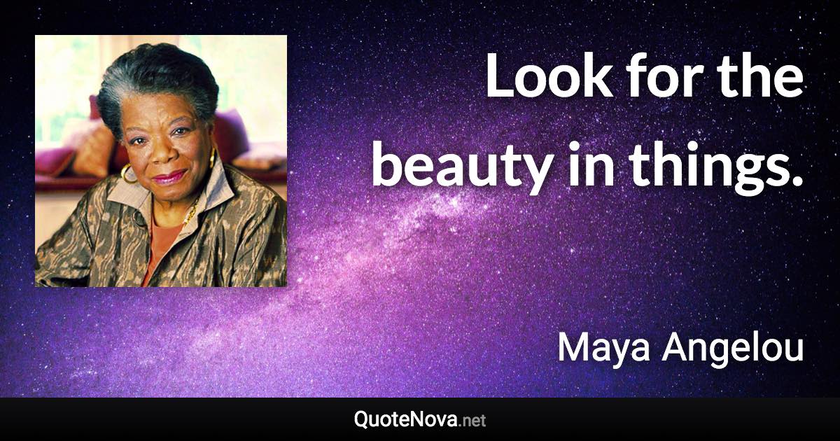 Look for the beauty in things. - Maya Angelou quote