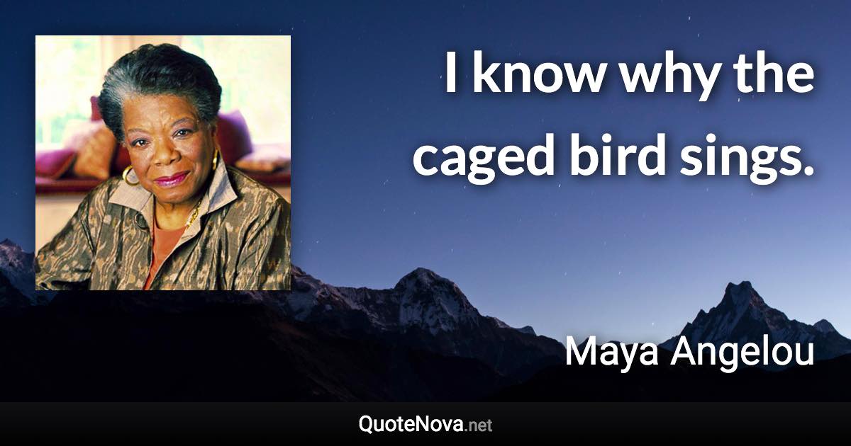 I know why the caged bird sings. - Maya Angelou quote