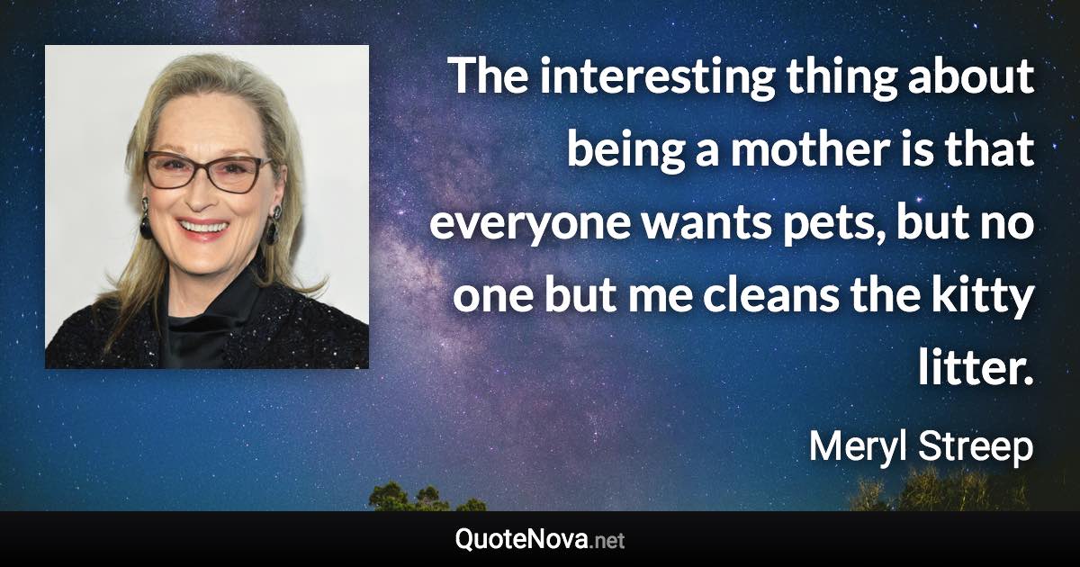 The interesting thing about being a mother is that everyone wants pets, but no one but me cleans the kitty litter. - Meryl Streep quote