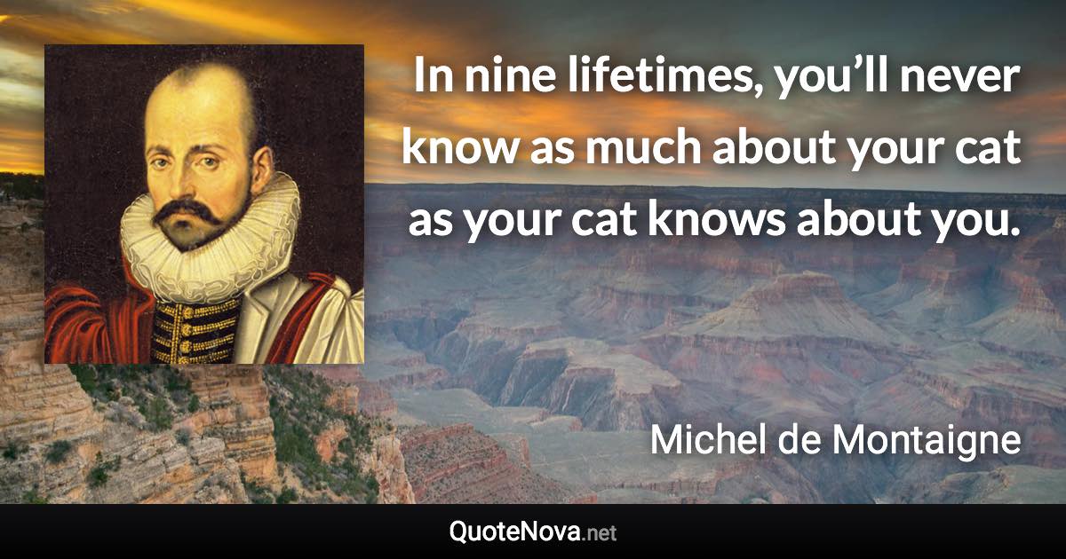 In nine lifetimes, you’ll never know as much about your cat as your cat knows about you. - Michel de Montaigne quote