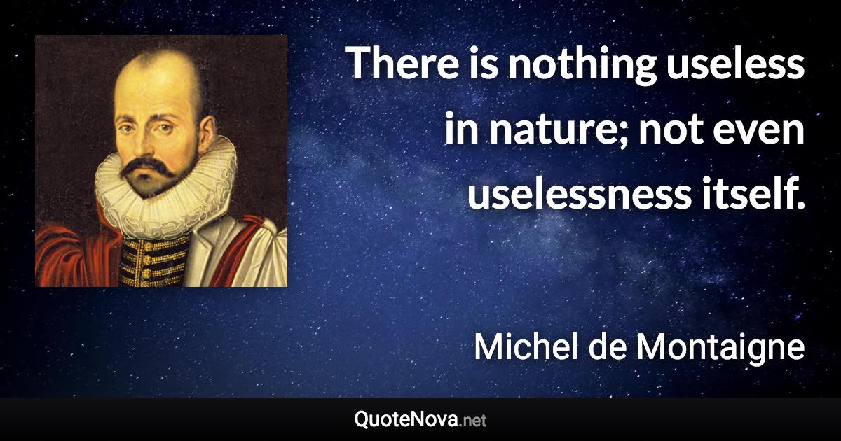 There is nothing useless in nature; not even uselessness itself. - Michel de Montaigne quote