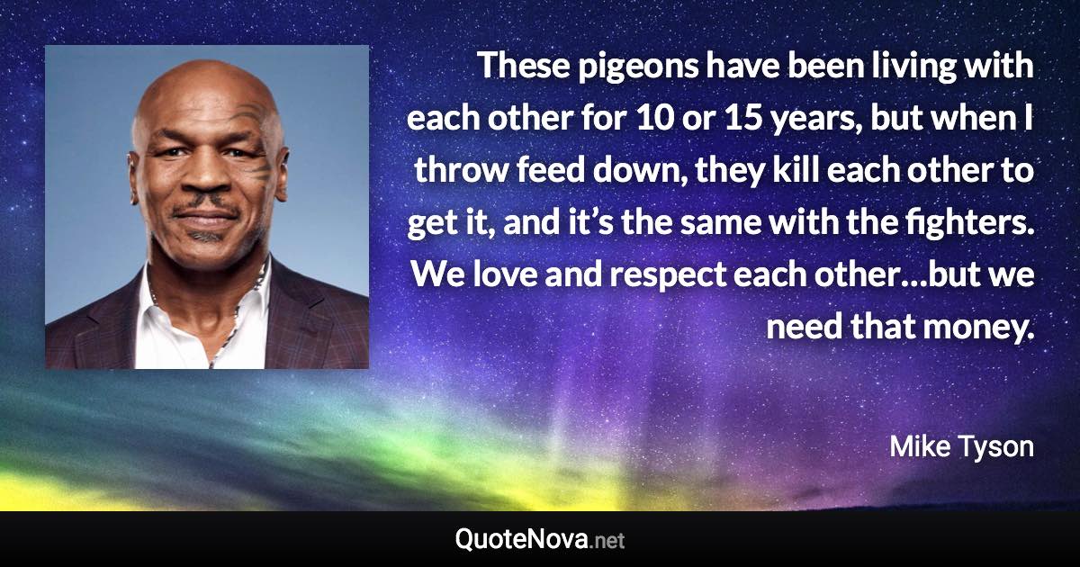 These pigeons have been living with each other for 10 or 15 years, but when I throw feed down, they kill each other to get it, and it’s the same with the fighters. We love and respect each other…but we need that money. - Mike Tyson quote