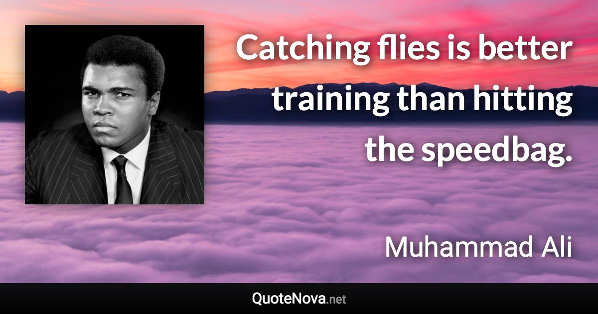 Catching flies is better training than hitting the speedbag. - Muhammad Ali quote