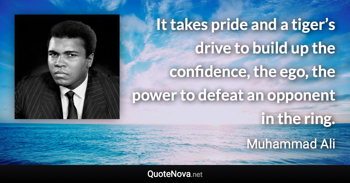 It takes pride and a tiger’s drive to build up the confidence, the ego, the power to defeat an opponent in the ring. - Muhammad Ali quote