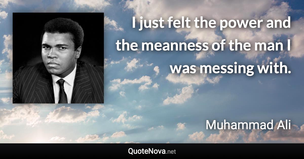 I just felt the power and the meanness of the man I was messing with. - Muhammad Ali quote