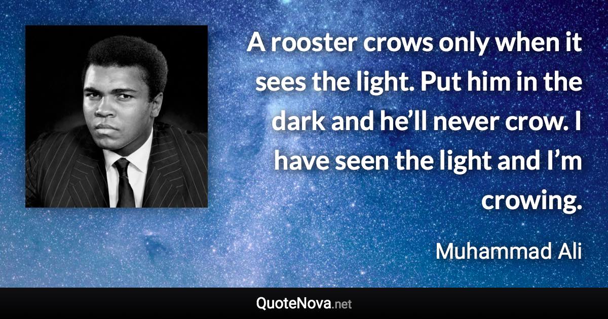 A rooster crows only when it sees the light. Put him in the dark and he’ll never crow. I have seen the light and I’m crowing. - Muhammad Ali quote