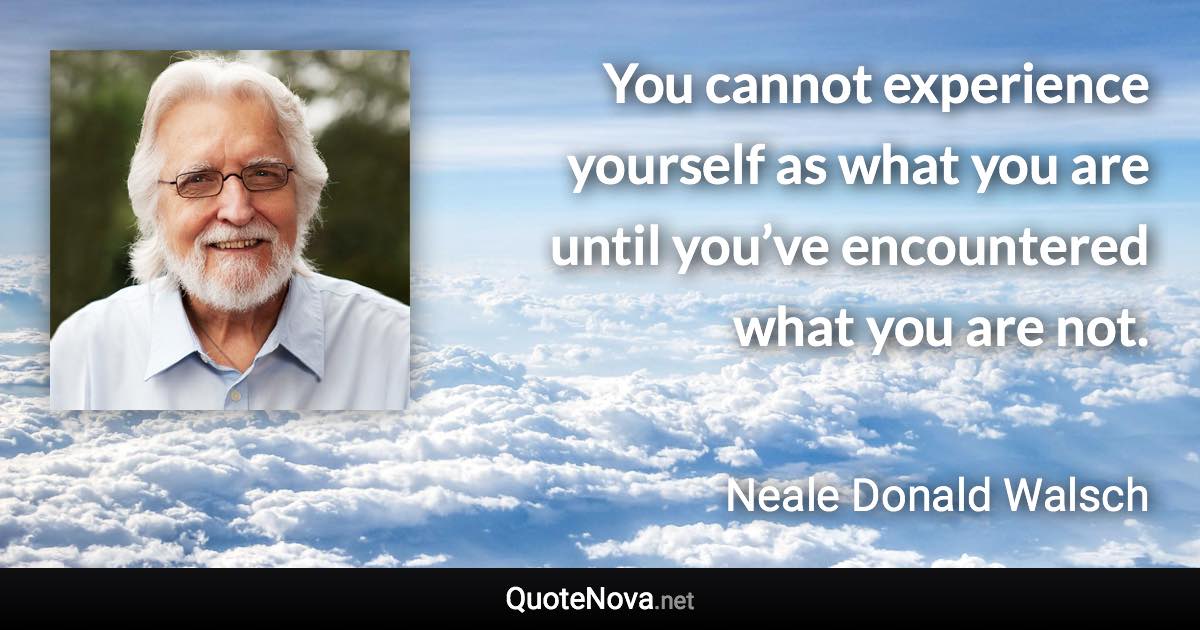 You cannot experience yourself as what you are until you’ve encountered what you are not. - Neale Donald Walsch quote