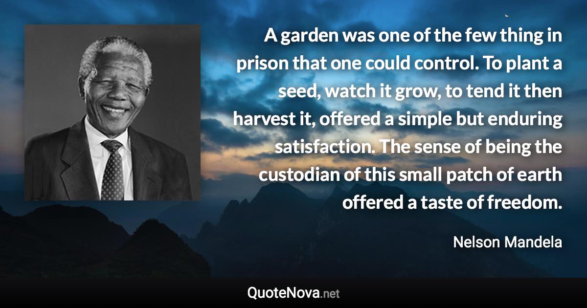 A garden was one of the few thing in prison that one could control. To plant a seed, watch it grow, to tend it then harvest it, offered a simple but enduring satisfaction. The sense of being the custodian of this small patch of earth offered a taste of freedom. - Nelson Mandela quote