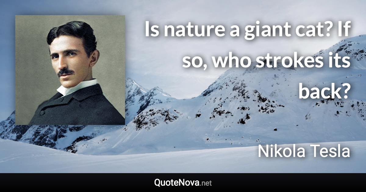 Is nature a giant cat? If so, who strokes its back? - Nikola Tesla quote