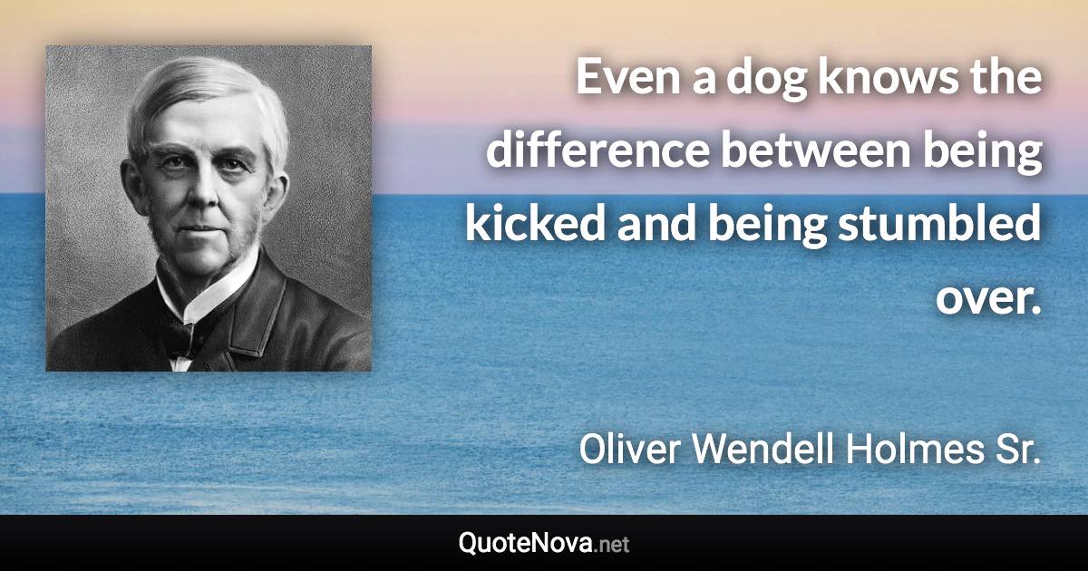 Even a dog knows the difference between being kicked and being stumbled over. - Oliver Wendell Holmes Sr. quote