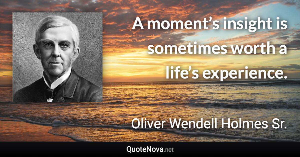 A moment’s insight is sometimes worth a life’s experience. - Oliver Wendell Holmes Sr. quote