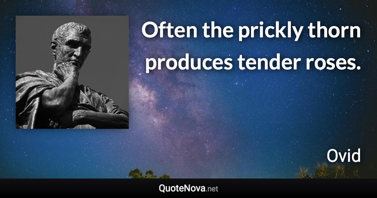 Often the prickly thorn produces tender roses. - Ovid quote