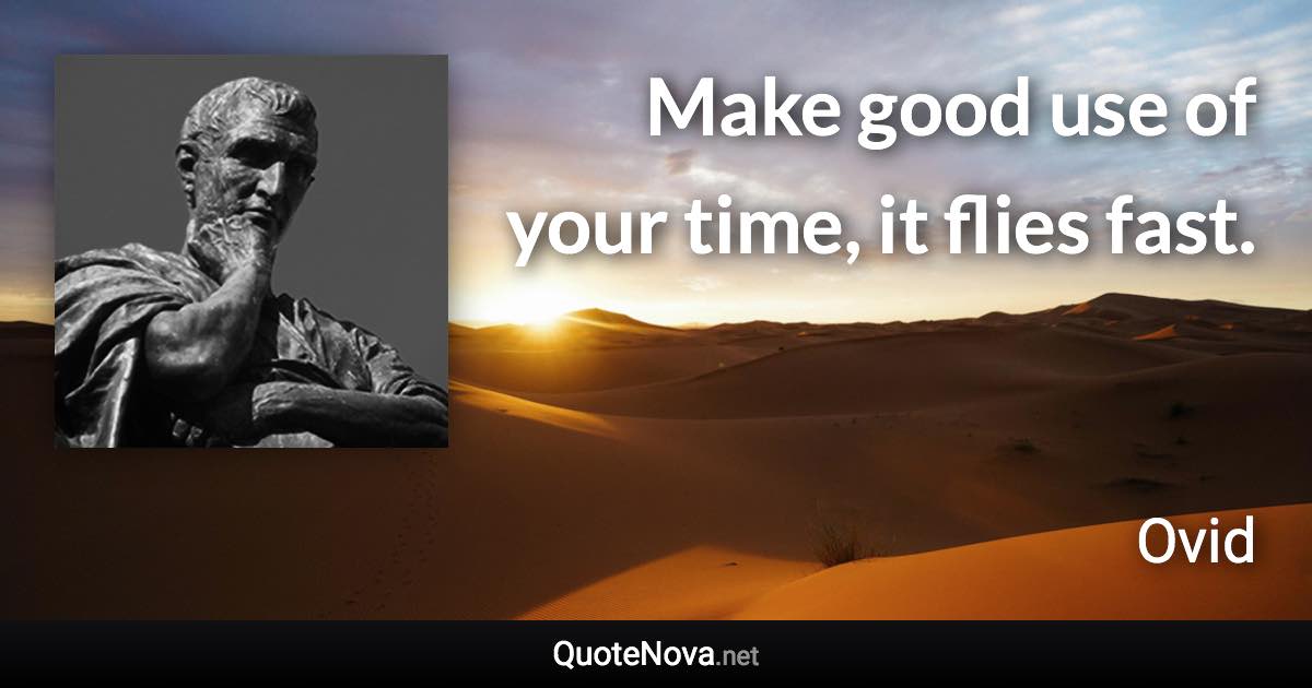 Make good use of your time, it flies fast. - Ovid quote