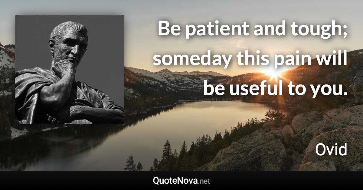 Be patient and tough; someday this pain will be useful to you. - Ovid quote