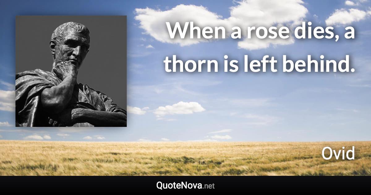 When a rose dies, a thorn is left behind. - Ovid quote