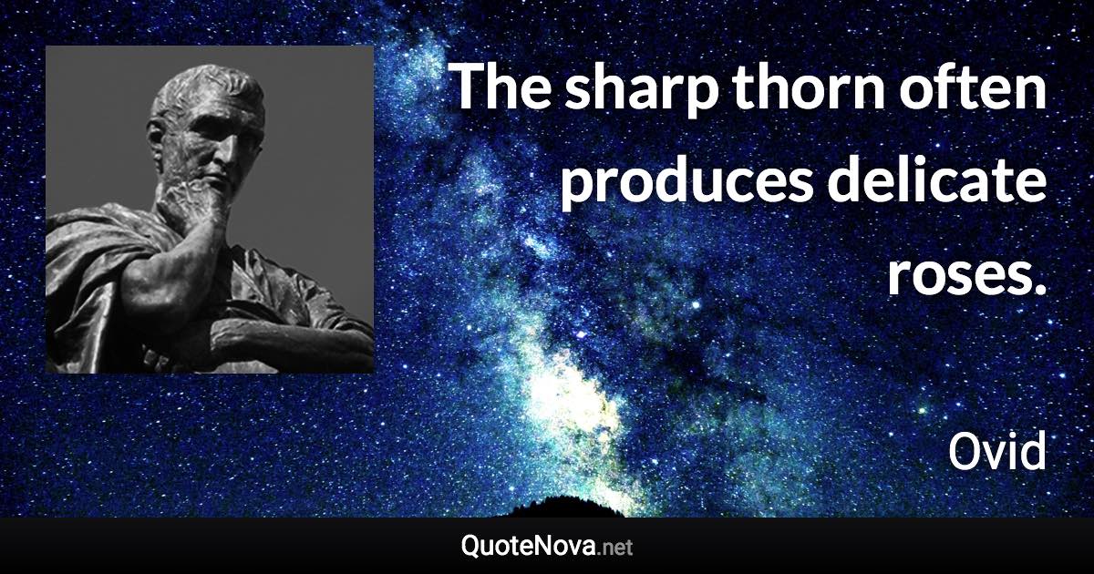 The sharp thorn often produces delicate roses. - Ovid quote