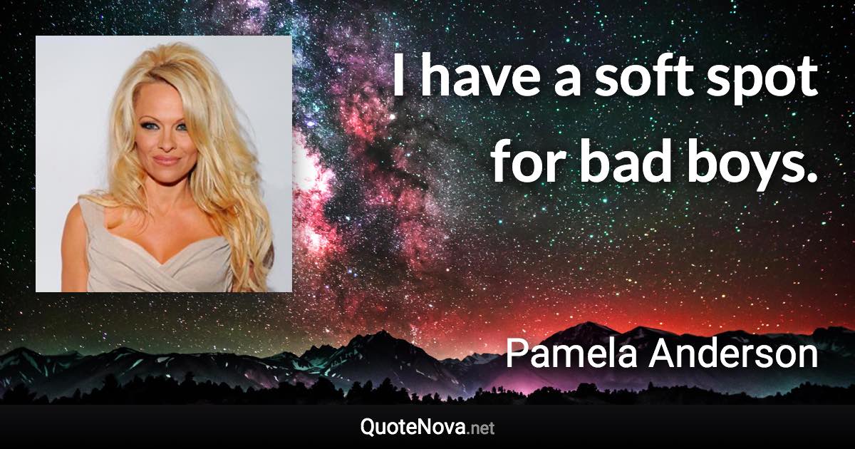 I have a soft spot for bad boys. - Pamela Anderson quote