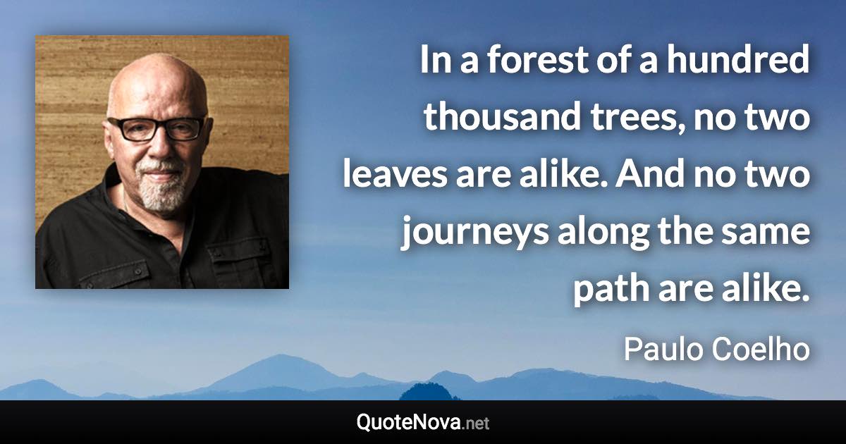 In a forest of a hundred thousand trees, no two leaves are alike. And no two journeys along the same path are alike. - Paulo Coelho quote