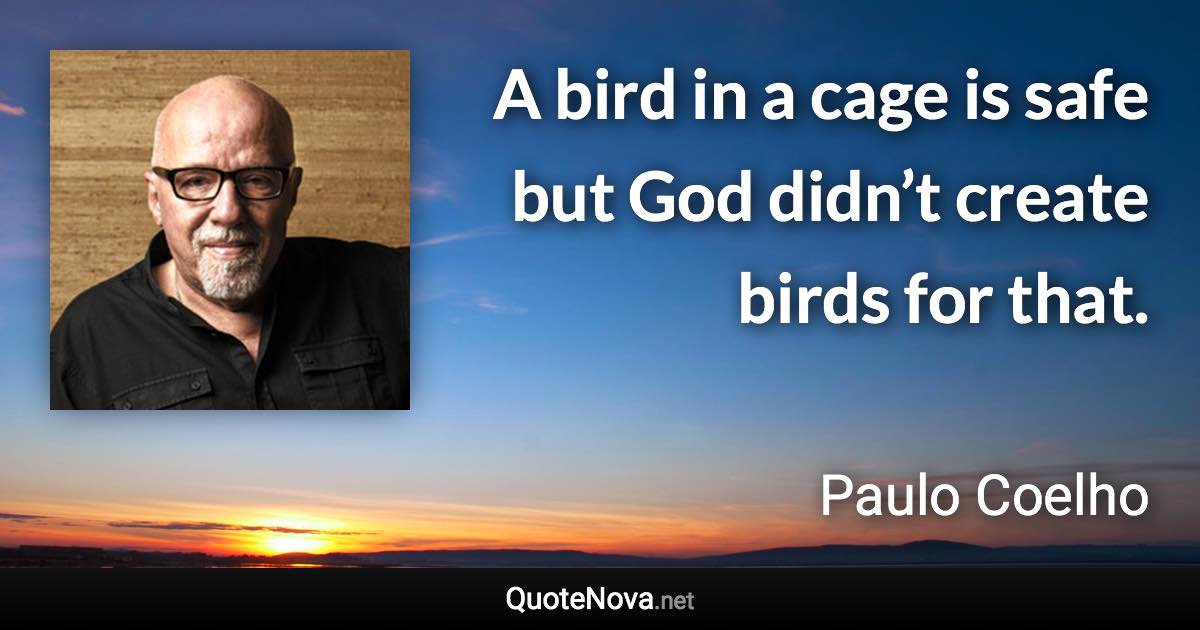 A bird in a cage is safe but God didn’t create birds for that. - Paulo Coelho quote