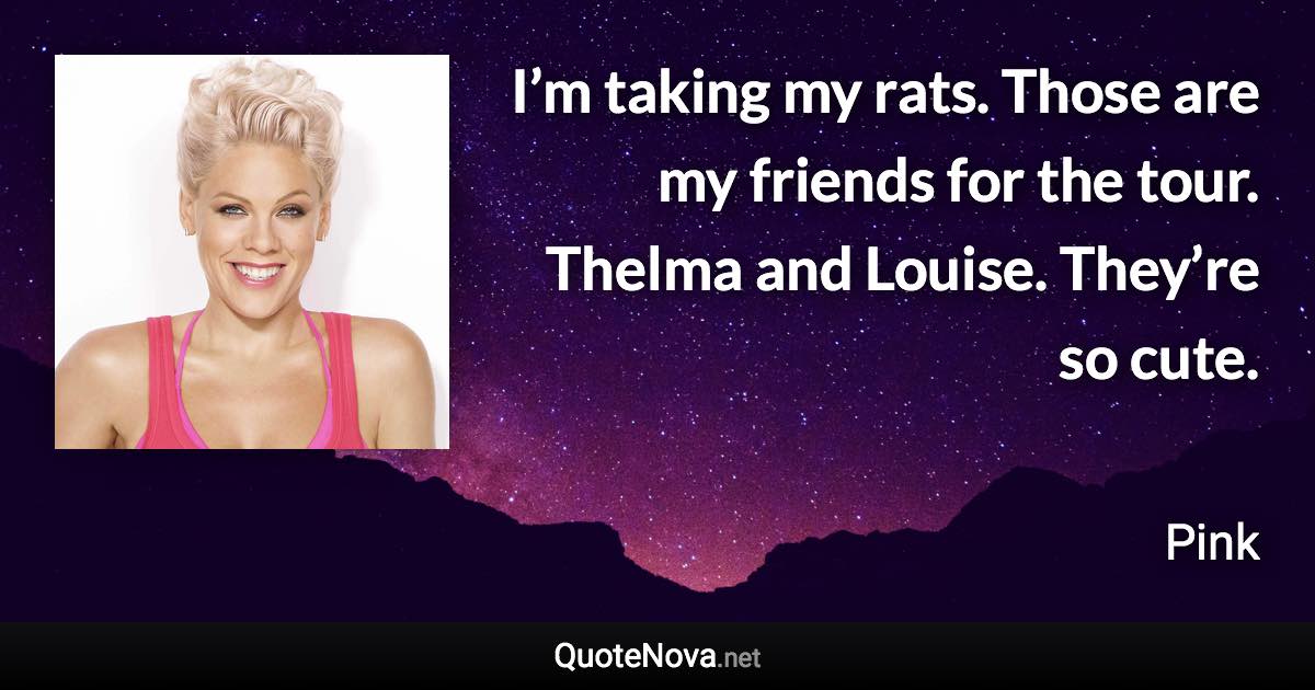 I’m taking my rats. Those are my friends for the tour. Thelma and Louise. They’re so cute. - Pink quote