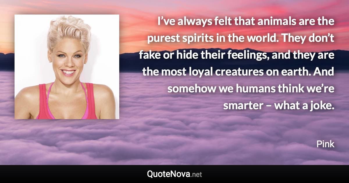 I’ve always felt that animals are the purest spirits in the world. They don’t fake or hide their feelings, and they are the most loyal creatures on earth. And somehow we humans think we’re smarter – what a joke. - Pink quote