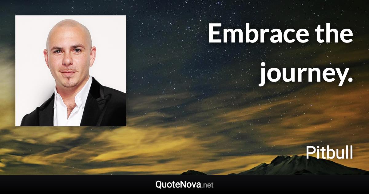 Embrace the journey. - Pitbull quote