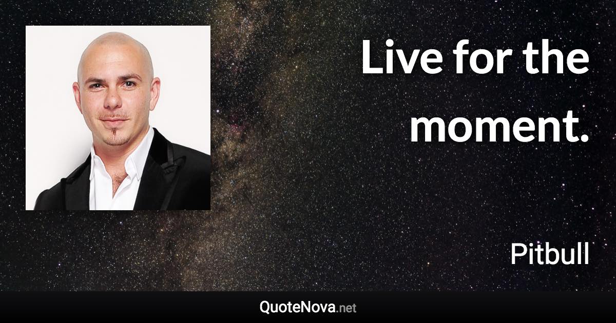 Live for the moment. - Pitbull quote