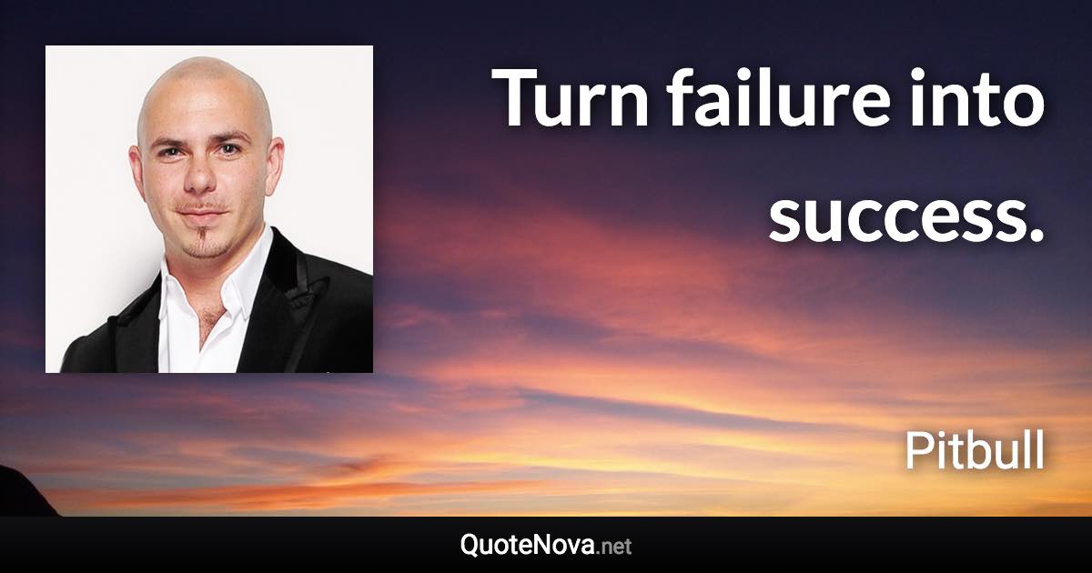 Turn failure into success. - Pitbull quote