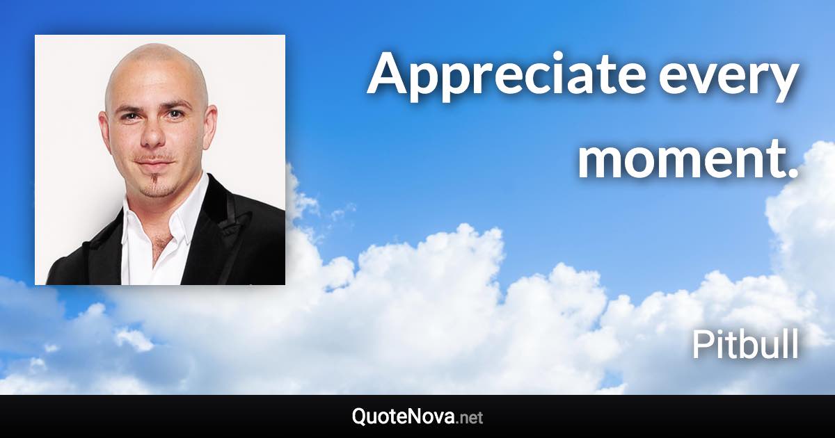 Appreciate every moment. - Pitbull quote