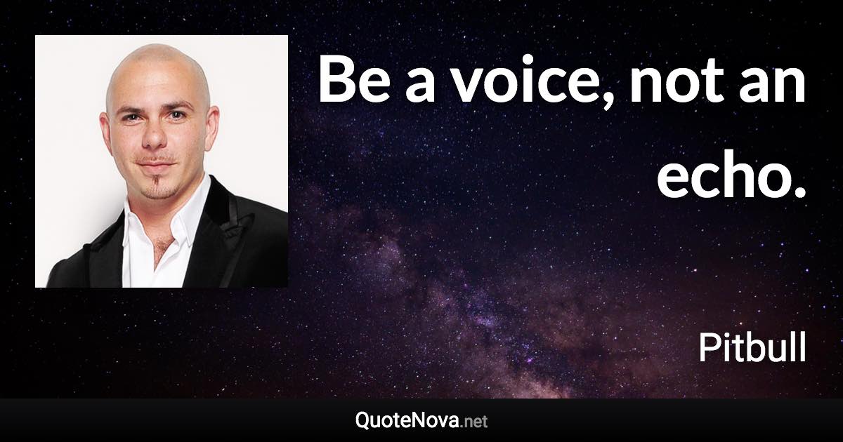 Be a voice, not an echo. - Pitbull quote