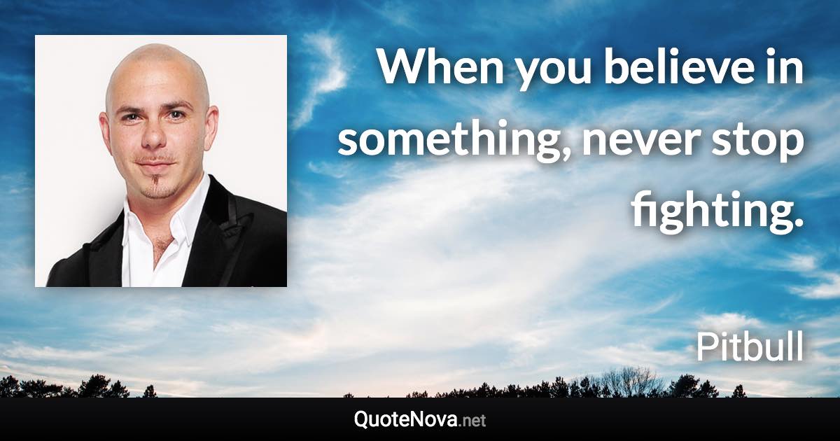When you believe in something, never stop fighting. - Pitbull quote
