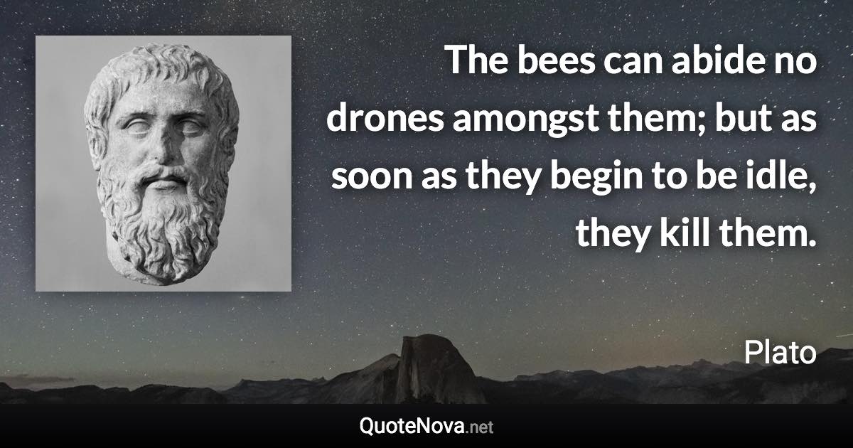 The bees can abide no drones amongst them; but as soon as they begin to be idle, they kill them. - Plato quote