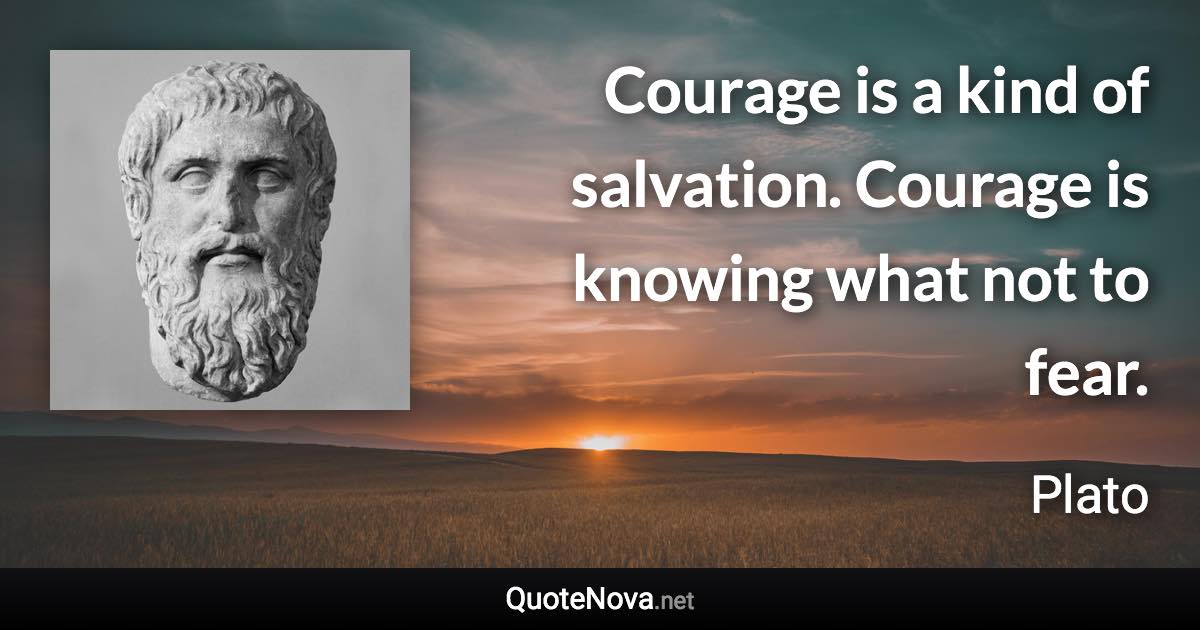 Courage is a kind of salvation. Courage is knowing what not to fear. - Plato quote