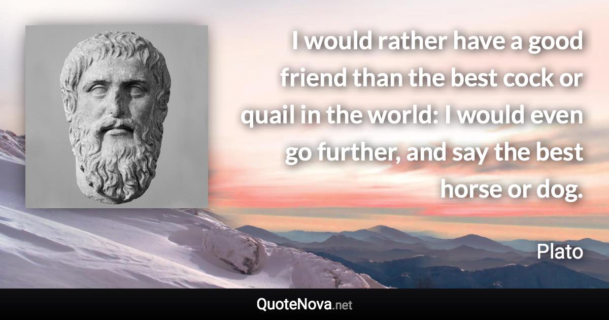 I would rather have a good friend than the best cock or quail in the world: I would even go further, and say the best horse or dog. - Plato quote